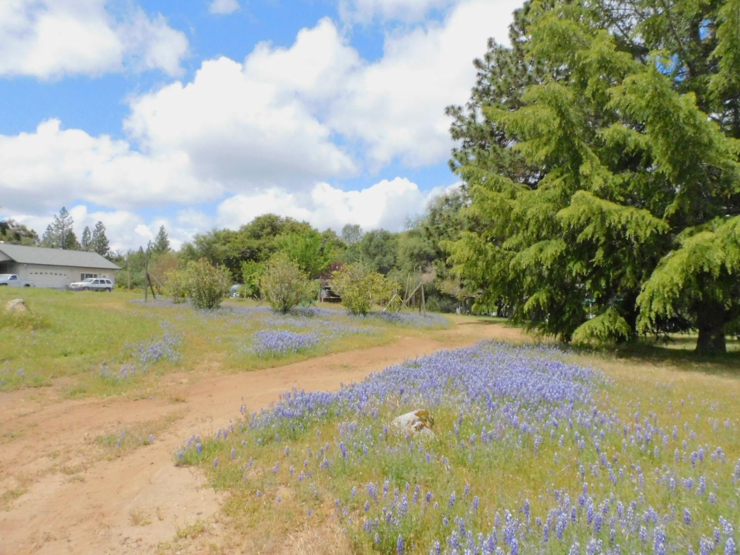 5383 Dream Ranch Circle Placerville, CA 95667 - Photo 56 of 91