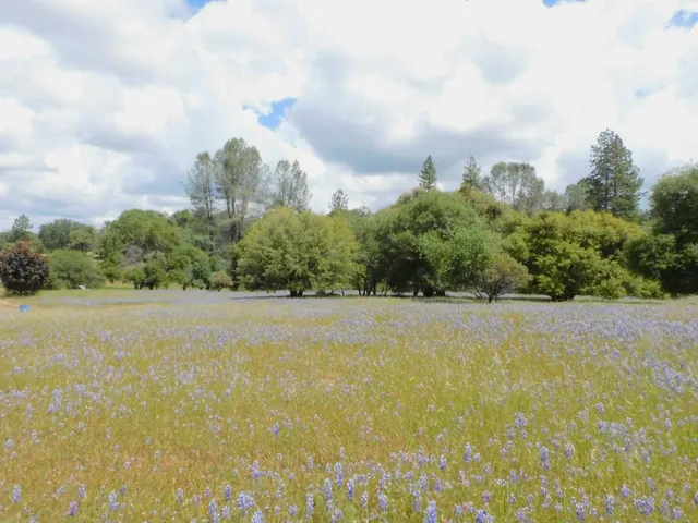 $965,000 | 5383 Dream Ranch Circle, Placerville, CA 95667