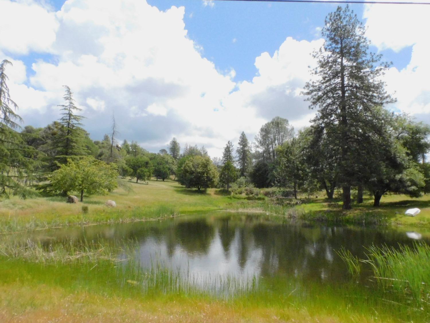 5383 Dream Ranch Circle Placerville, CA 95667 - Photo 59 of 91 a view of a lake with a city