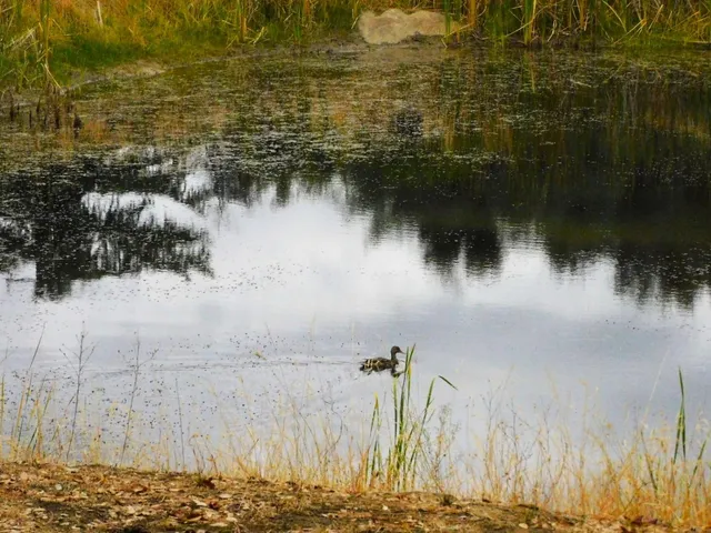 $965,000 | 5383 Dream Ranch Circle, Placerville, CA 95667