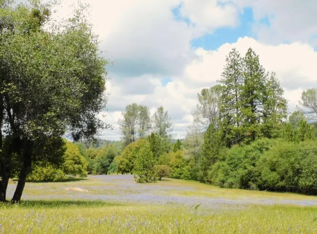 a view of a lake with a yard