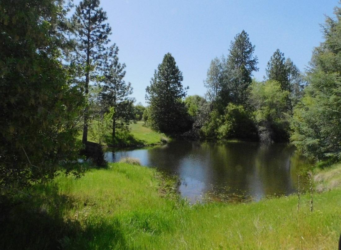 5383 Dream Ranch Circle Placerville, CA 95667 - Photo 63 of 91 a view of a lake with a yard and large trees