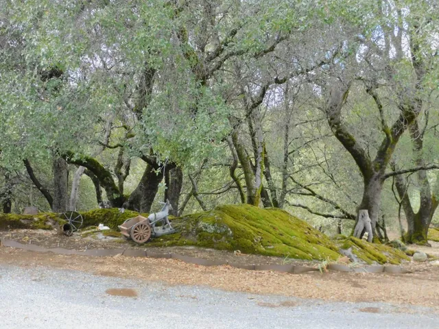 $965,000 | 5383 Dream Ranch Circle, Placerville, CA 95667