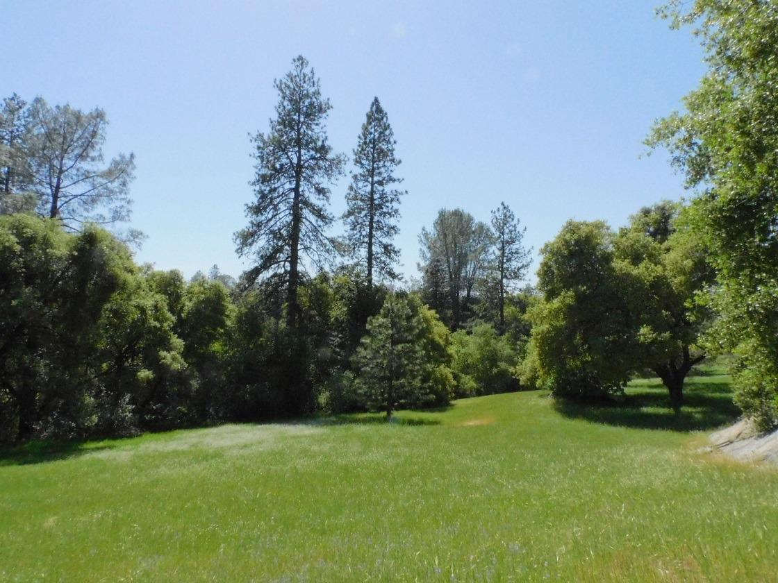 5383 Dream Ranch Circle Placerville, CA 95667 - Photo 68 of 91 a view of a yard with a trees