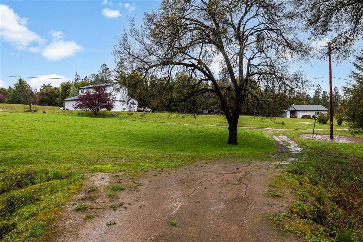 5383 Dream Ranch Circle Placerville, CA 95667 - Photo 75 of 91 a view of a park with large trees