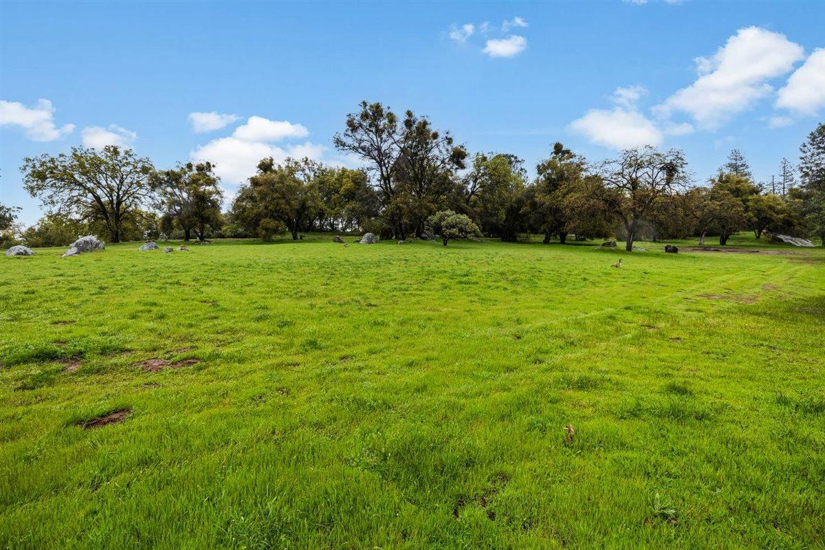 5383 Dream Ranch Circle Placerville, CA 95667 - Photo 78 of 91 a view of a field of grass and trees