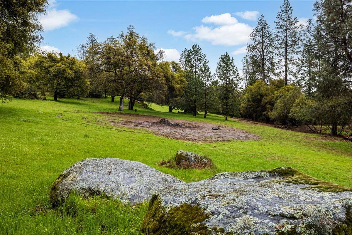 5383 Dream Ranch Circle Placerville, CA 95667 - Photo 83 of 91 a view of a park with large trees