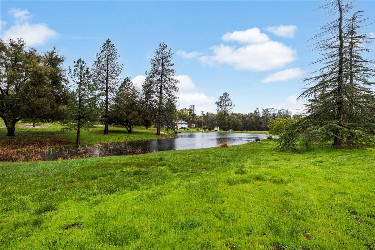 5383 Dream Ranch Circle Placerville, CA 95667 - Photo 85 of 91 a view of a park with large trees