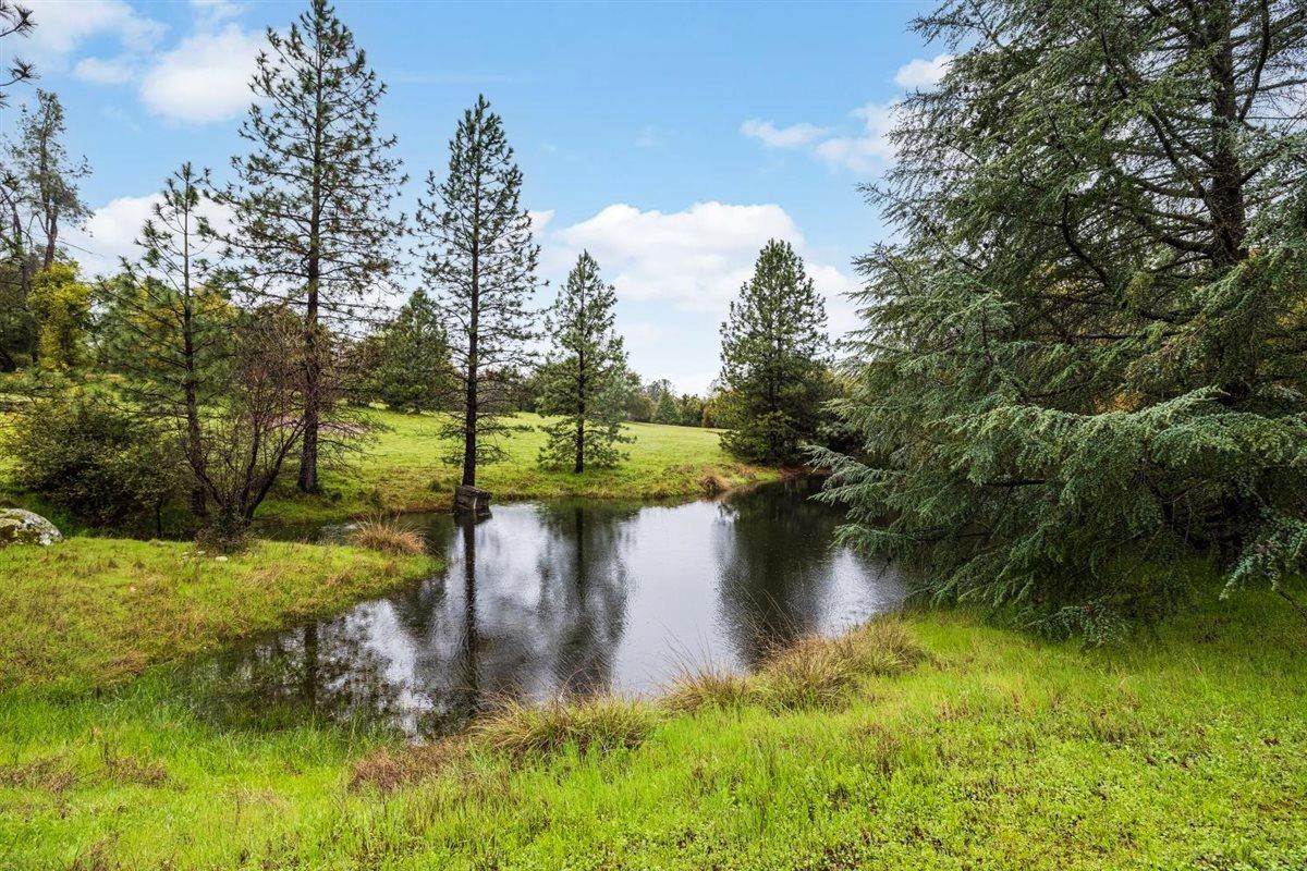 5383 Dream Ranch Circle Placerville, CA 95667 - Photo 87 of 91 a view of a lake with a yard and large trees