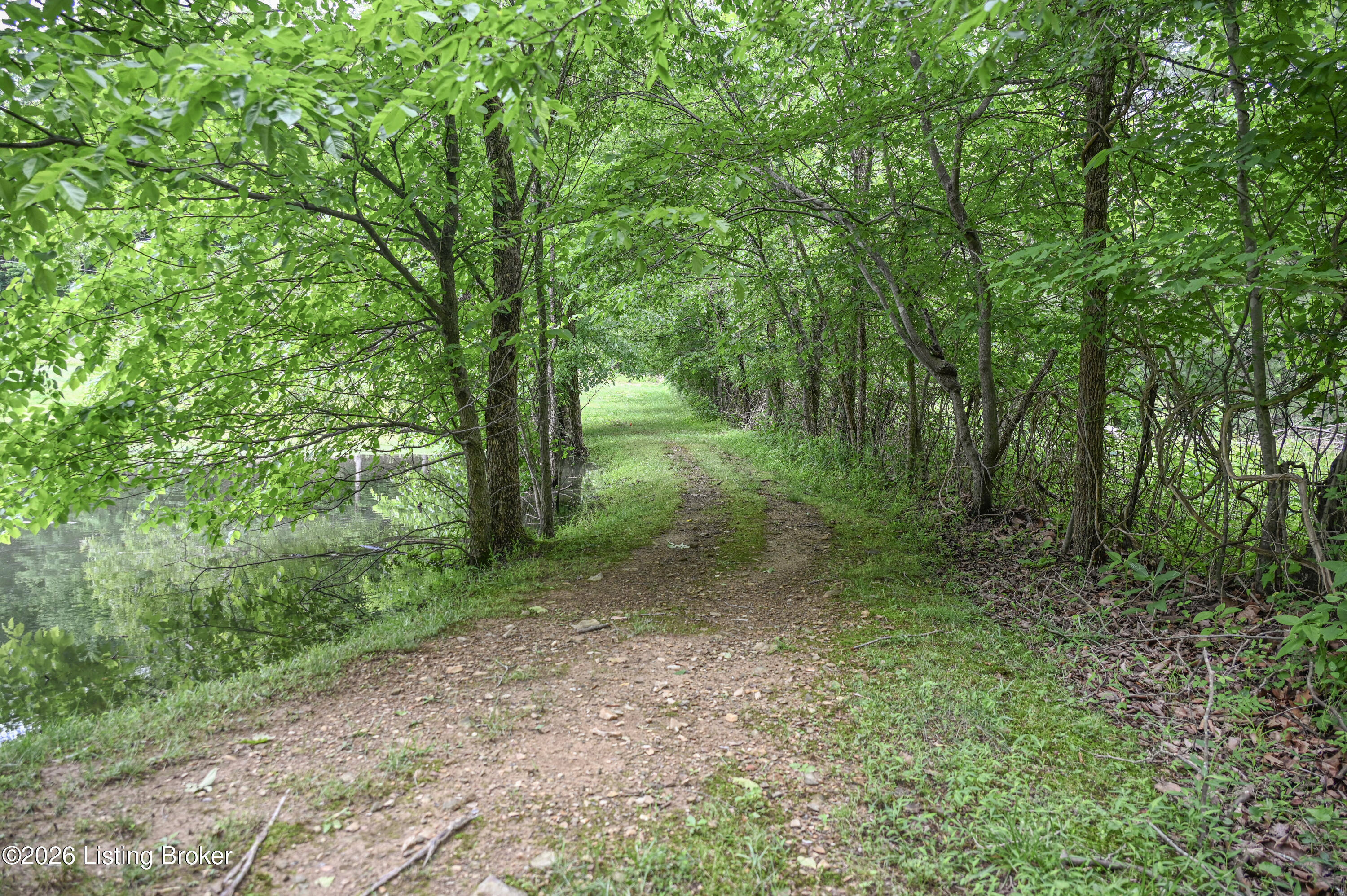 4837 Nat Rogers Road Boston, KY 40107 - Photo 27 of 94 5-DSC_1805