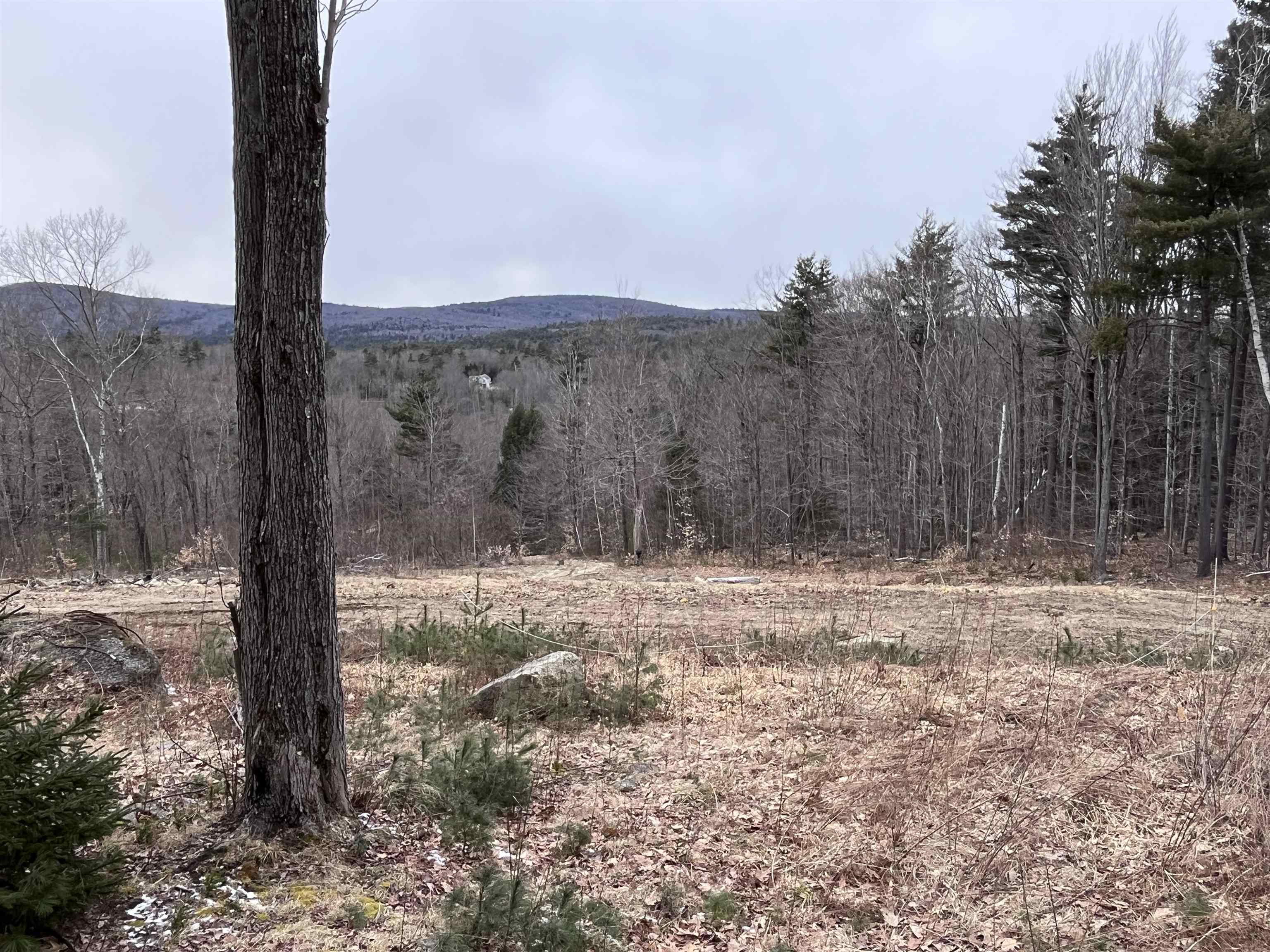90 Rocky Ledge Road Windsor, NH 03244 - Photo 16 of 26