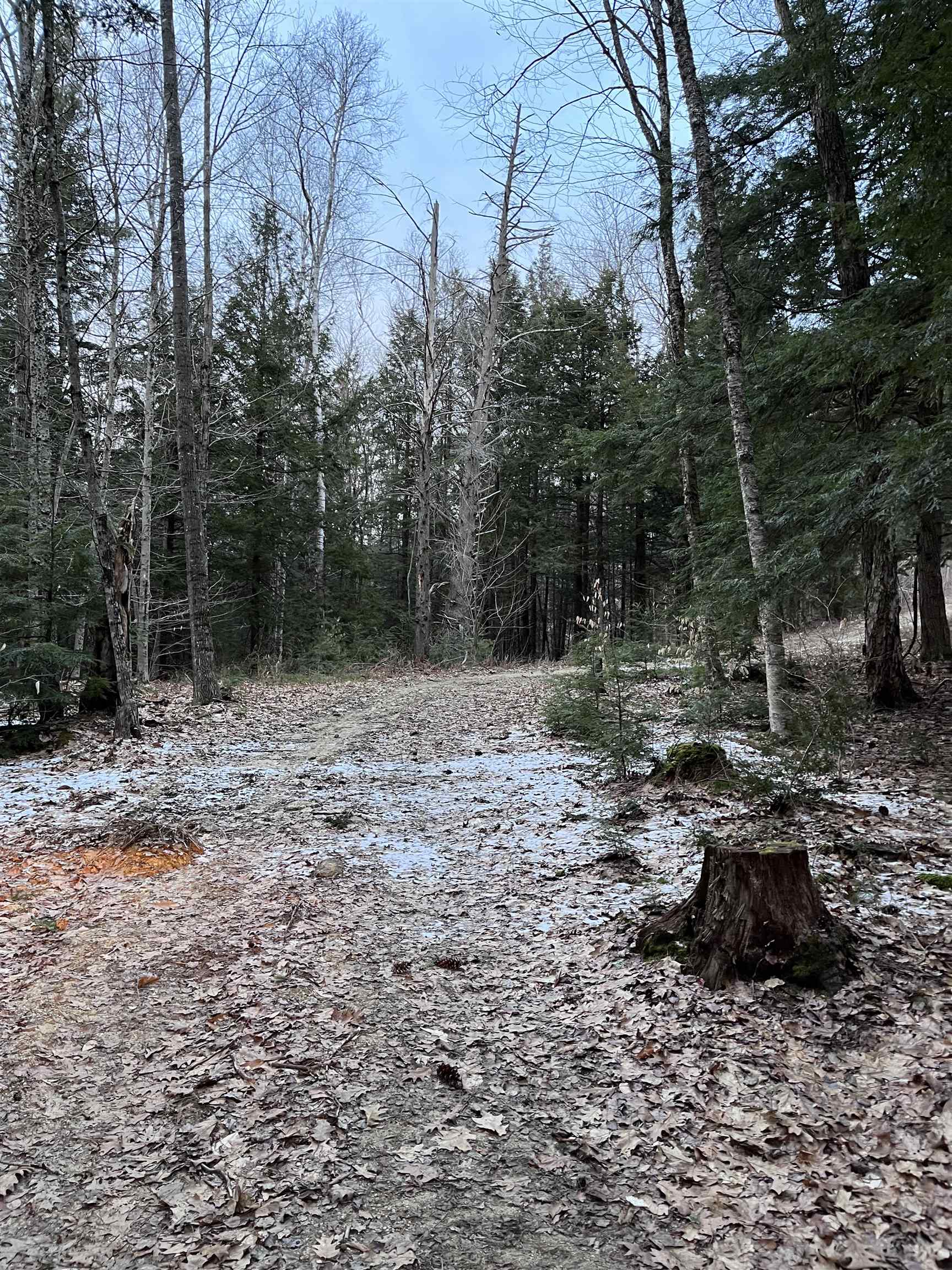 90 Rocky Ledge Road Windsor, NH 03244 - Photo 10 of 26