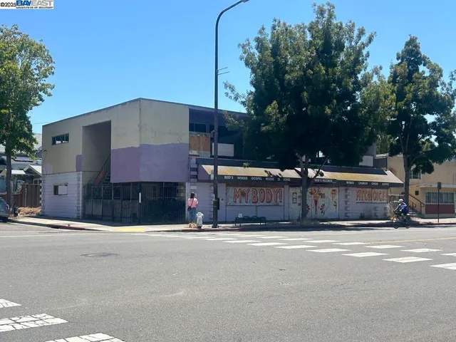 a view of a house with a yard and large tree