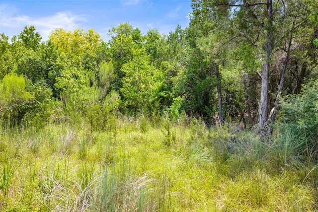 a backyard of a house with lots of green space and chair