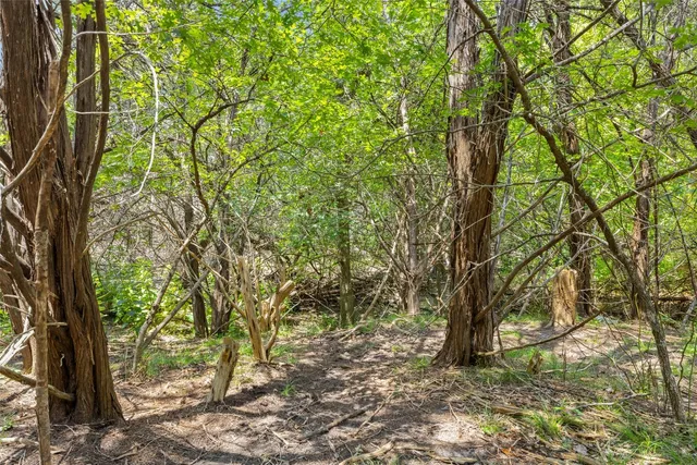 a backyard of a house with lots of trees