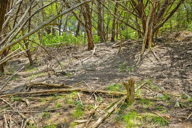 a backyard of a house with lots of plants and tree