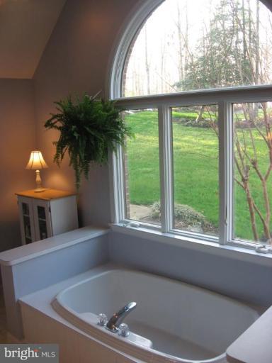 3205 Douglas Point Court Riva, MD 21140 - Photo 6 of 10 Master Bath