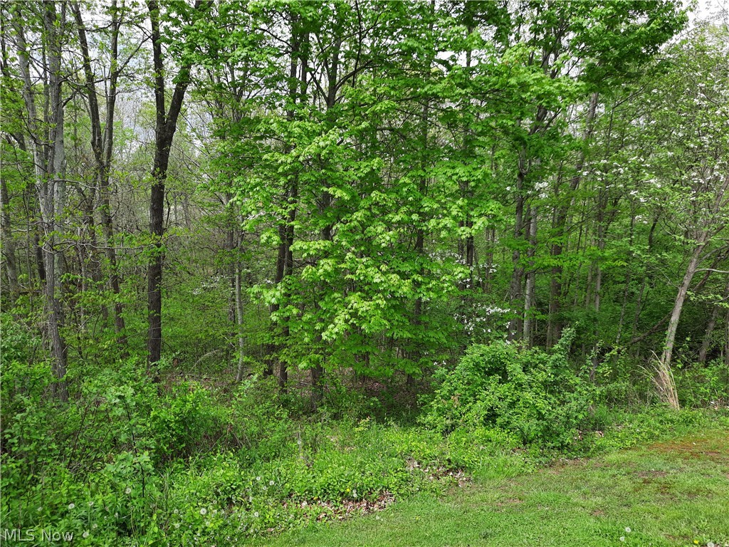 22476 Roy Croy Road Senecaville, OH 43780 - Photo 27 of 35 Gallery Image 27