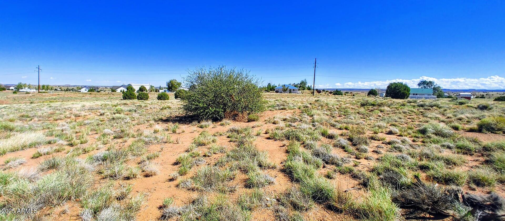 1190 Haystack Road, Unit 68 Taylor, AZ 85939 - Photo 6 of 7 a view of a dry yard with trees
