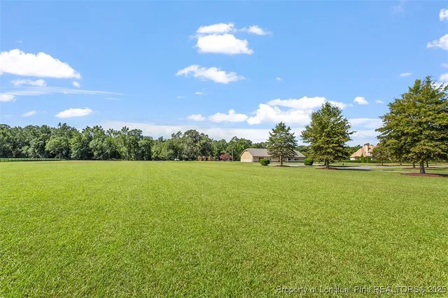 a view of outdoor space and yard