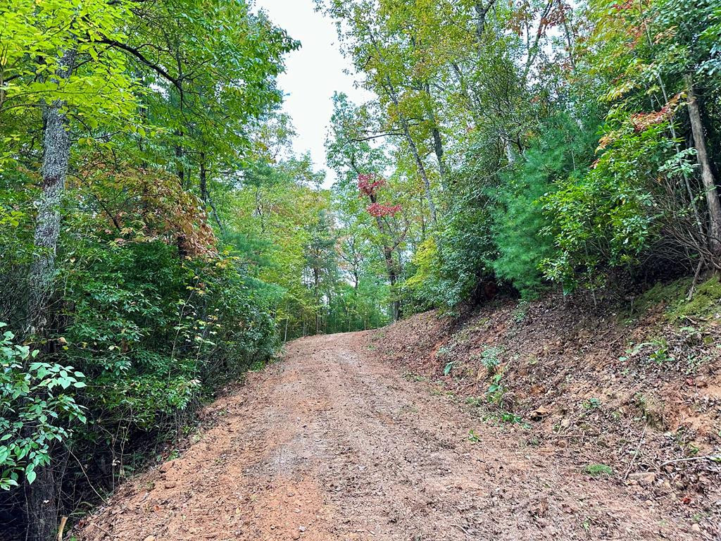 3.69-ac Atoah Loop Murphy, NC 28906 - Photo 13 of 28 Gallery Image 13