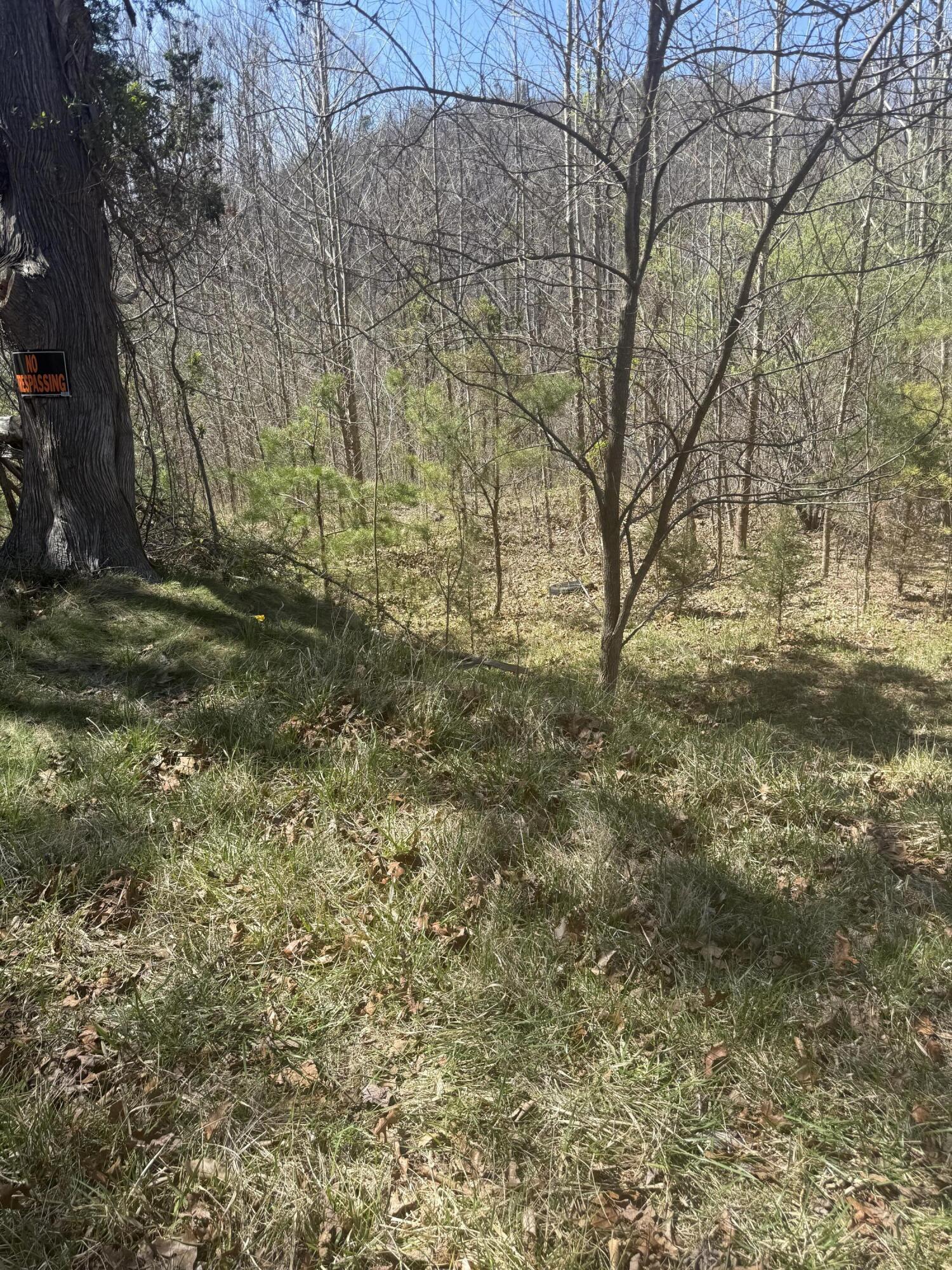 0 Narrow Passage Road Eagle Rock, VA 24085 - Photo 14 of 20 IMG_2025(1)