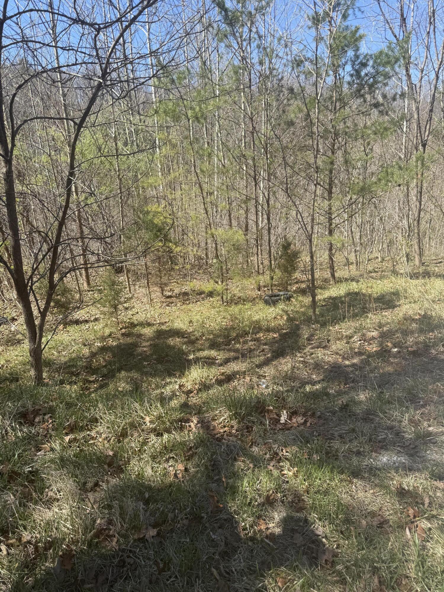 0 Narrow Passage Road Eagle Rock, VA 24085 - Photo 17 of 20 IMG_2026