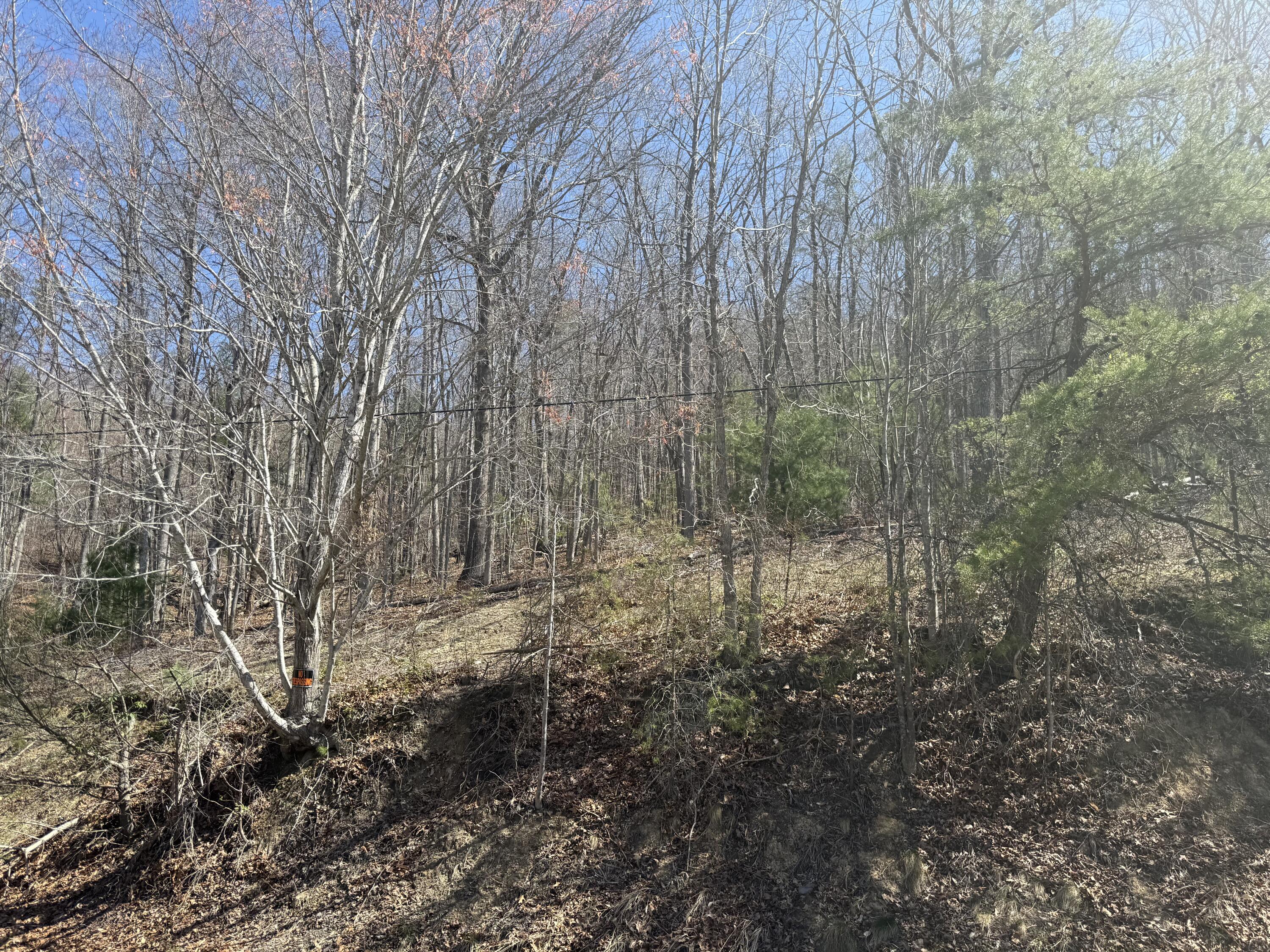 0 Narrow Passage Road Eagle Rock, VA 24085 - Photo 18 of 20 IMG_2027(1)