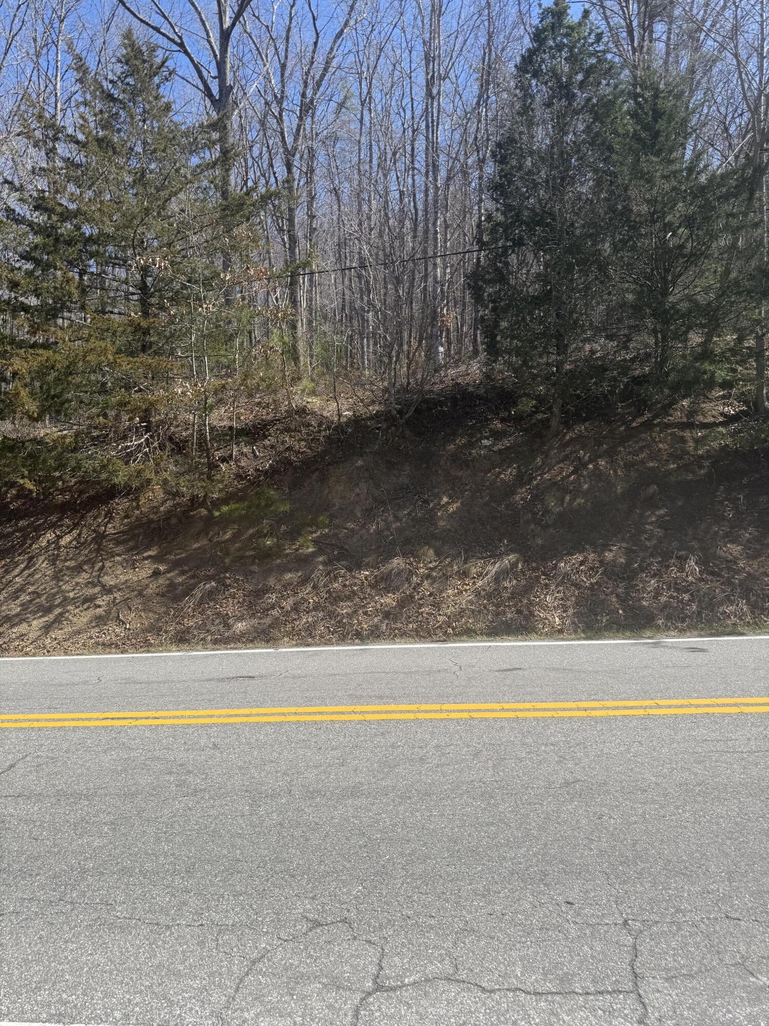 0 Narrow Passage Road Eagle Rock, VA 24085 - Photo 2 of 20 IMG_2019(1)