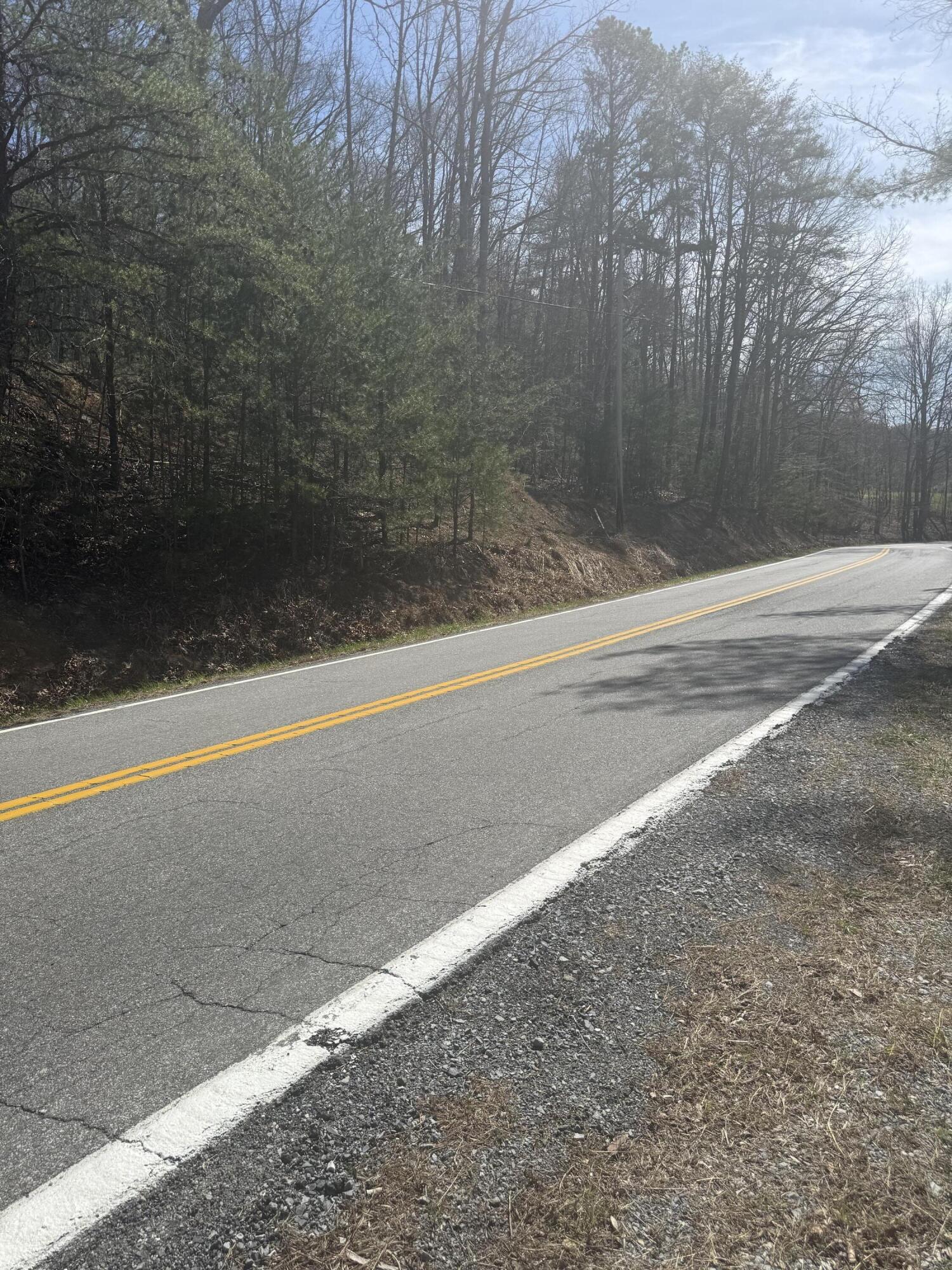 0 Narrow Passage Road Eagle Rock, VA 24085 - Photo 5 of 20 IMG_2020