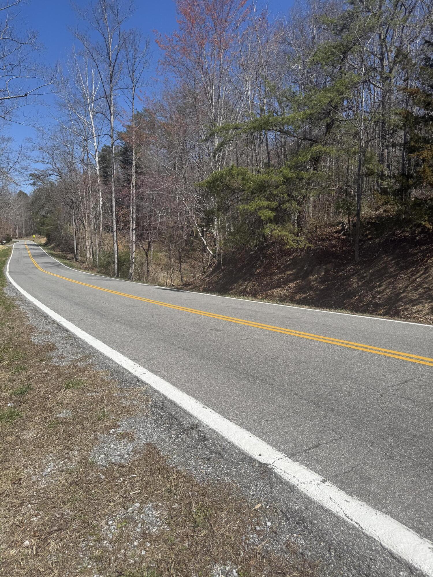 0 Narrow Passage Road Eagle Rock, VA 24085 - Photo 6 of 20 IMG_2021(1)