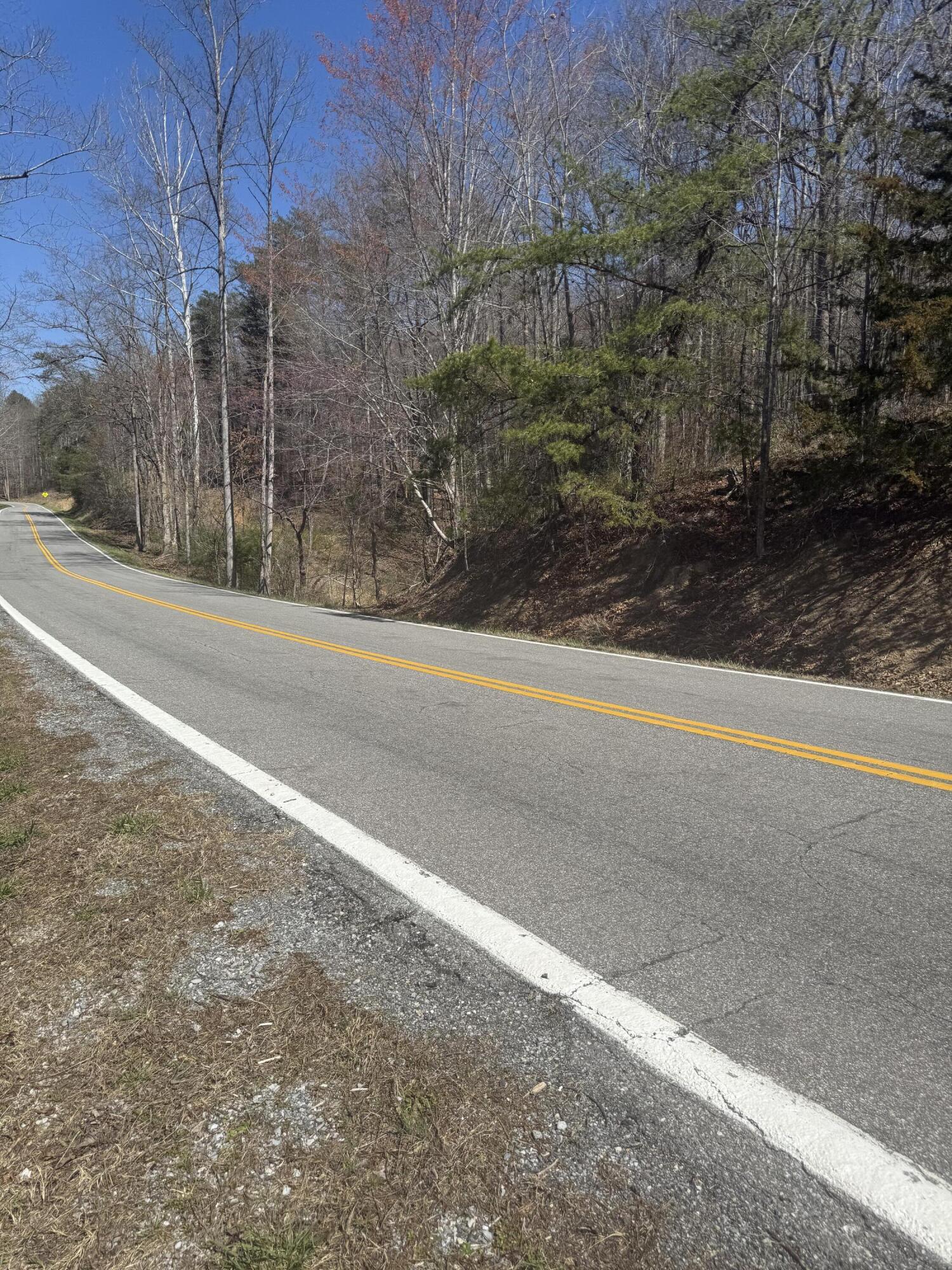 0 Narrow Passage Road Eagle Rock, VA 24085 - Photo 9 of 20 IMG_2022