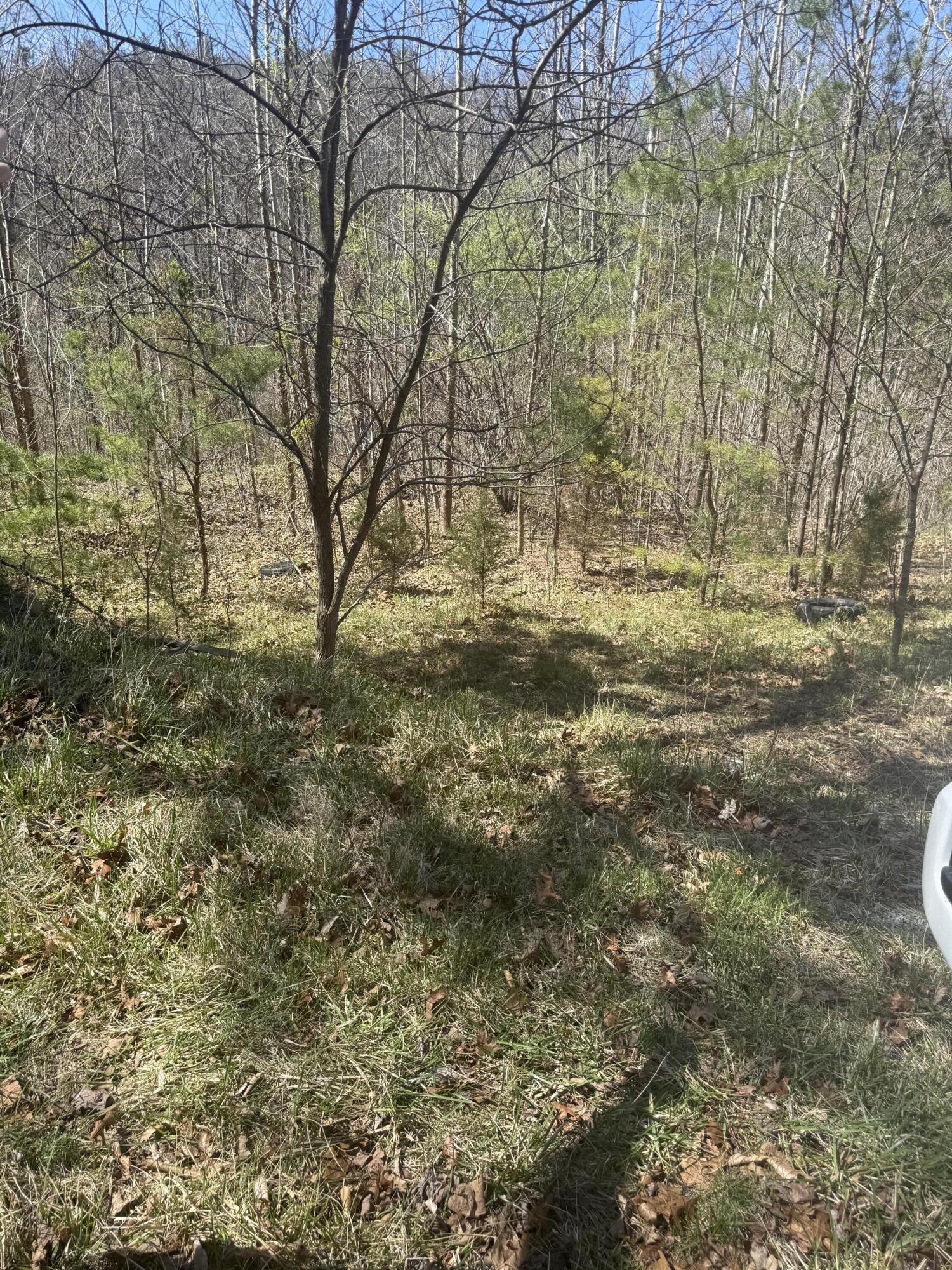 0 Narrow Passage Road Eagle Rock, VA 24085 - Photo 10 of 20 IMG_2023(1)