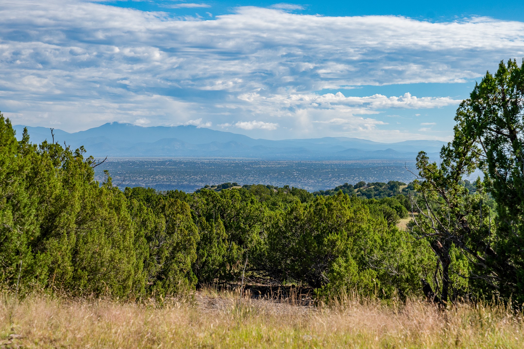 95 Grenfell Ranch Road Cerrillos, NM 87010 - Photo 12 of 47