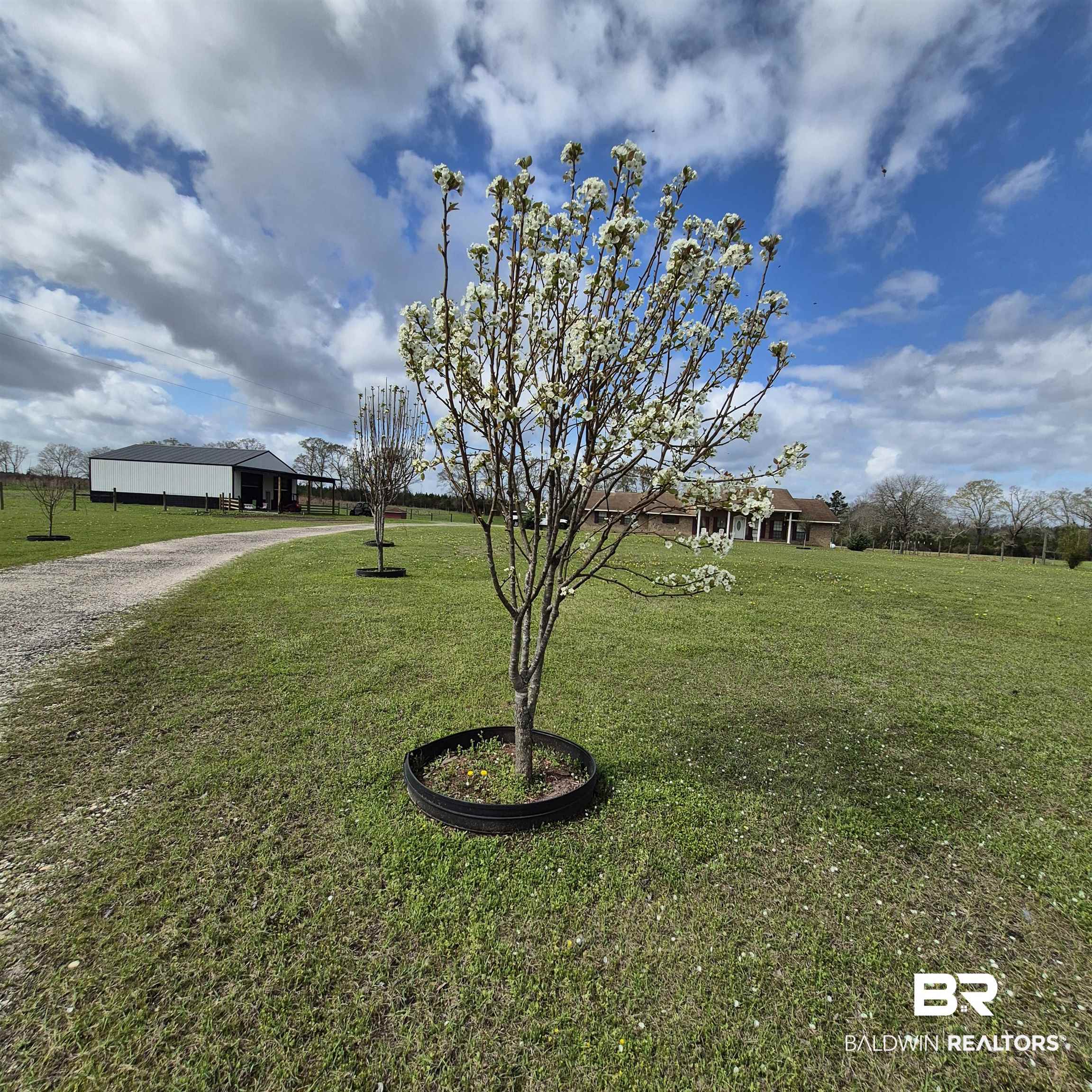 26635 Highway 41 Range, AL 36473 - Photo 71 of 74 View of grassy yard featuring gravel driveway