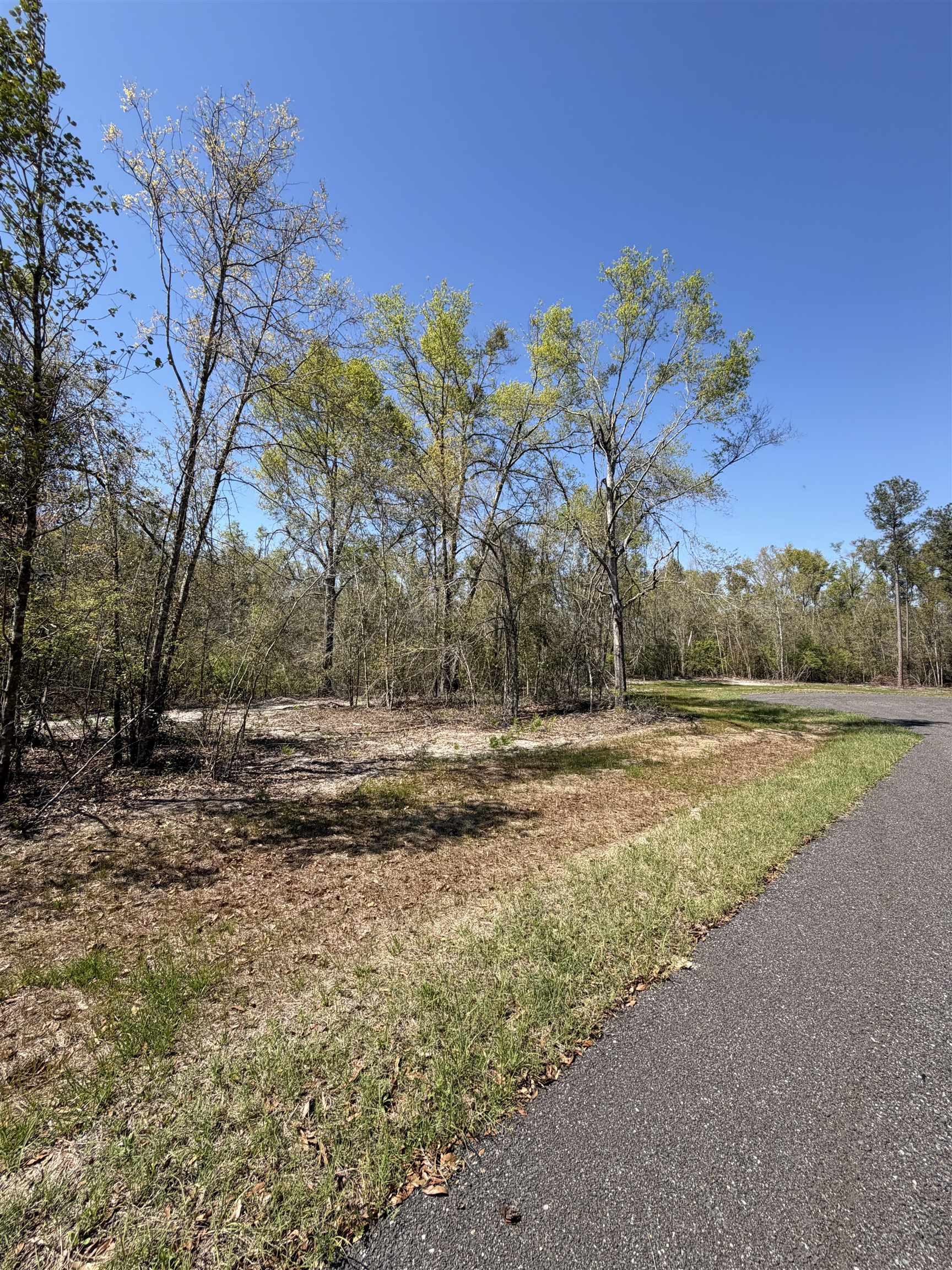 2 Highway 90 Holt, FL 32564 - Photo 13 of 15