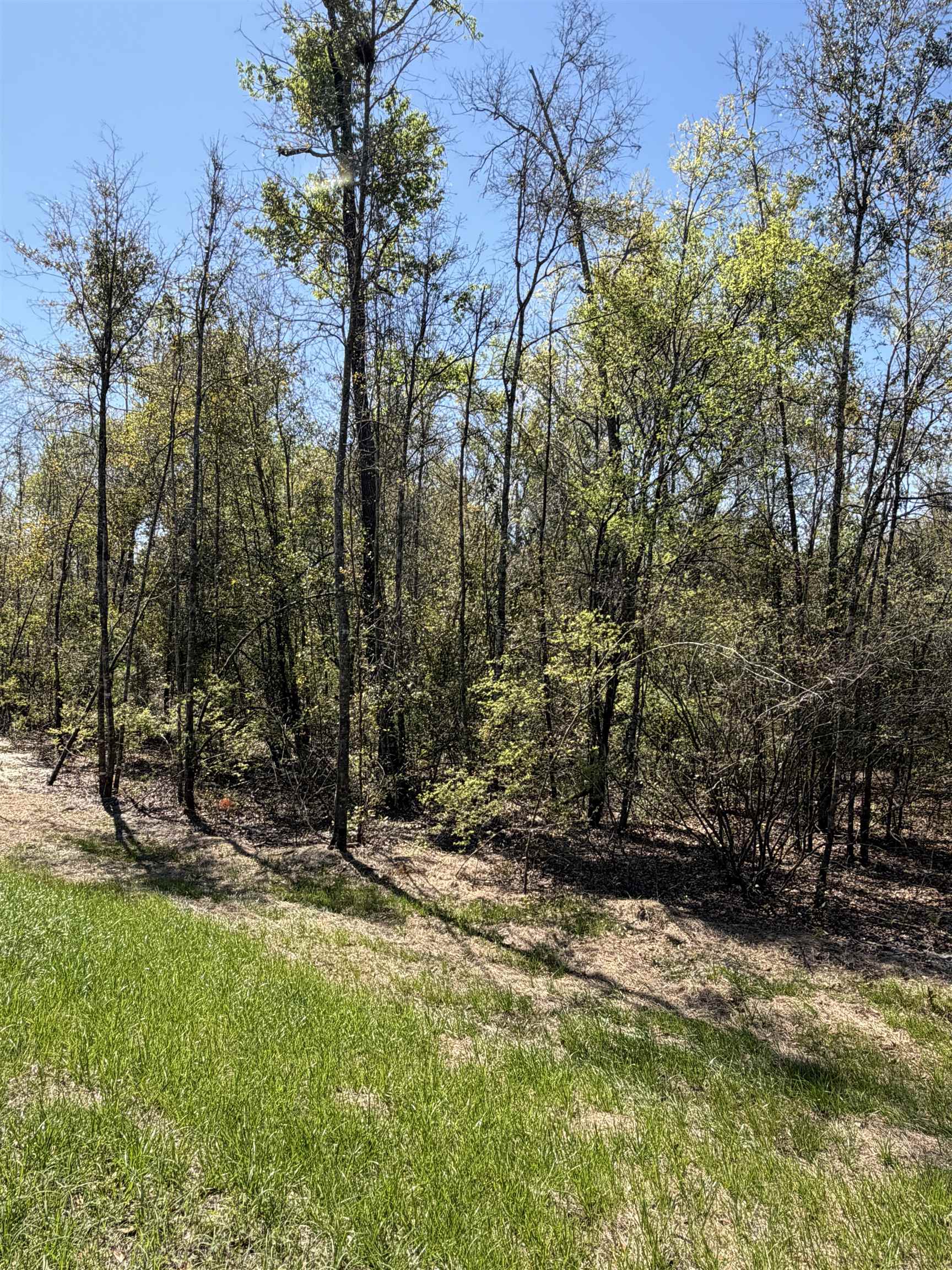 2 Highway 90 Holt, FL 32564 - Photo 14 of 15