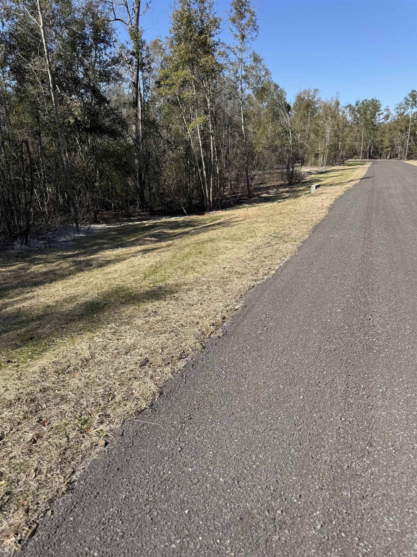 2 Highway 90 Holt, FL 32564 - Photo 3 of 15