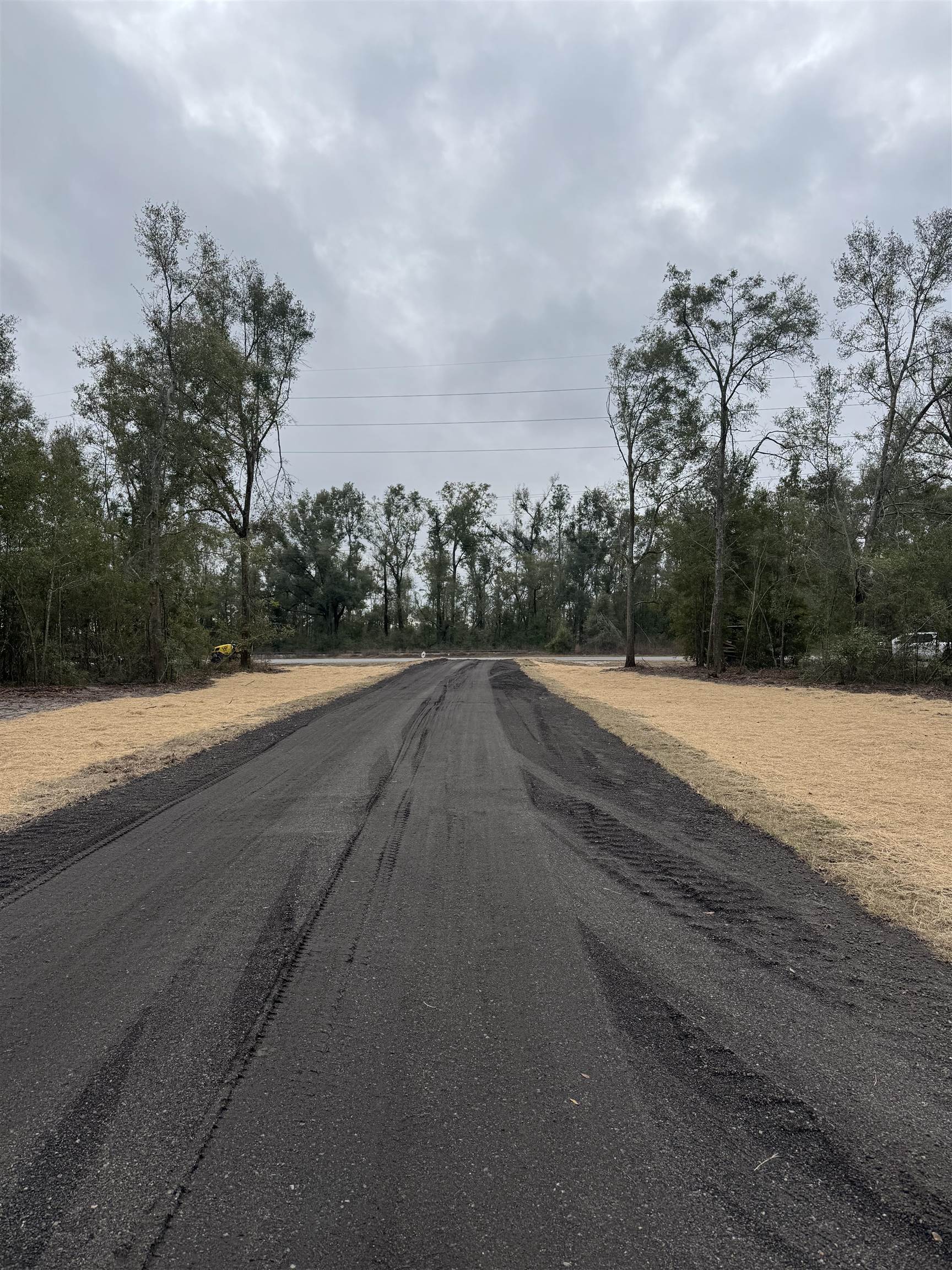 2 Highway 90 Holt, FL 32564 - Photo 4 of 15