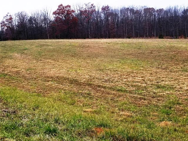 Little Creek Road Dillwyn, VA 23936 - Photo 10 of 11 Gallery Image 10