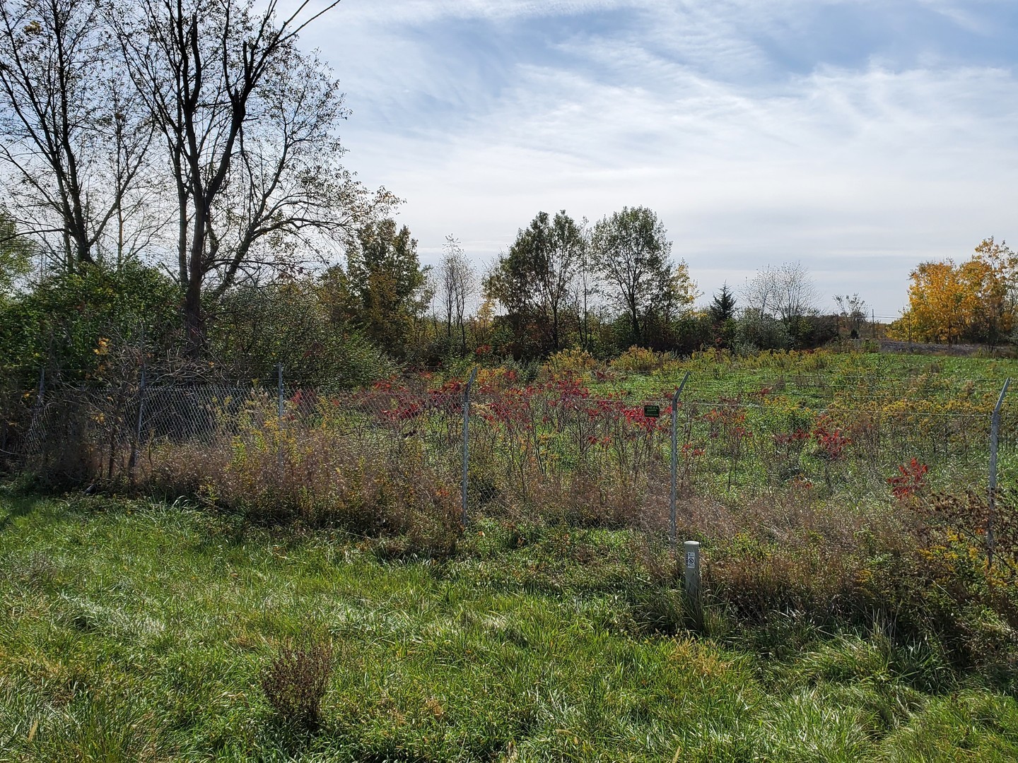 Tbd North 2803rd Road Ottawa, IL 61350 - Photo 2 of 5 a view of a lush green field