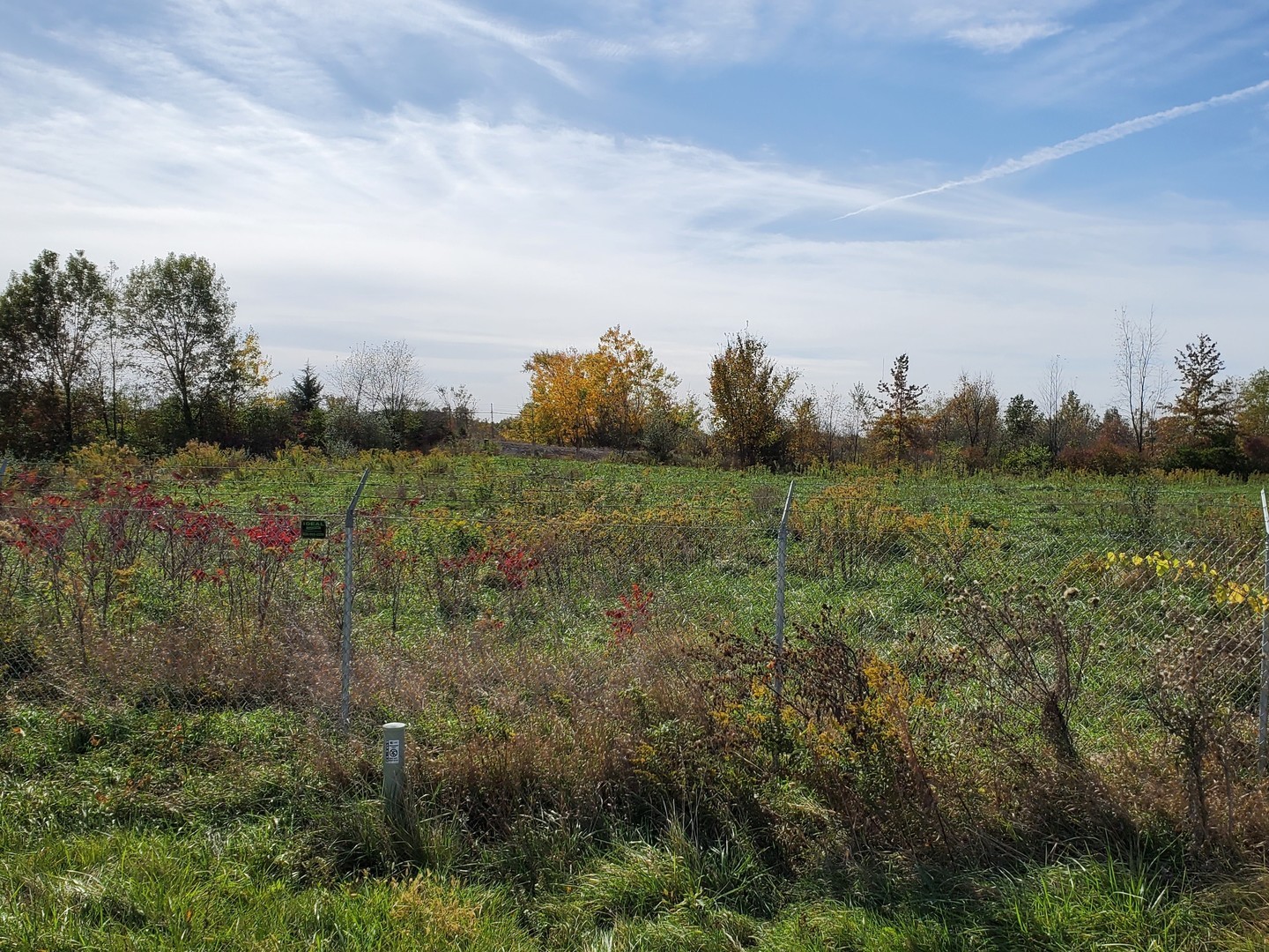 Tbd North 2803rd Road Ottawa, IL 61350 - Photo 3 of 5 a view of a field of grass and trees