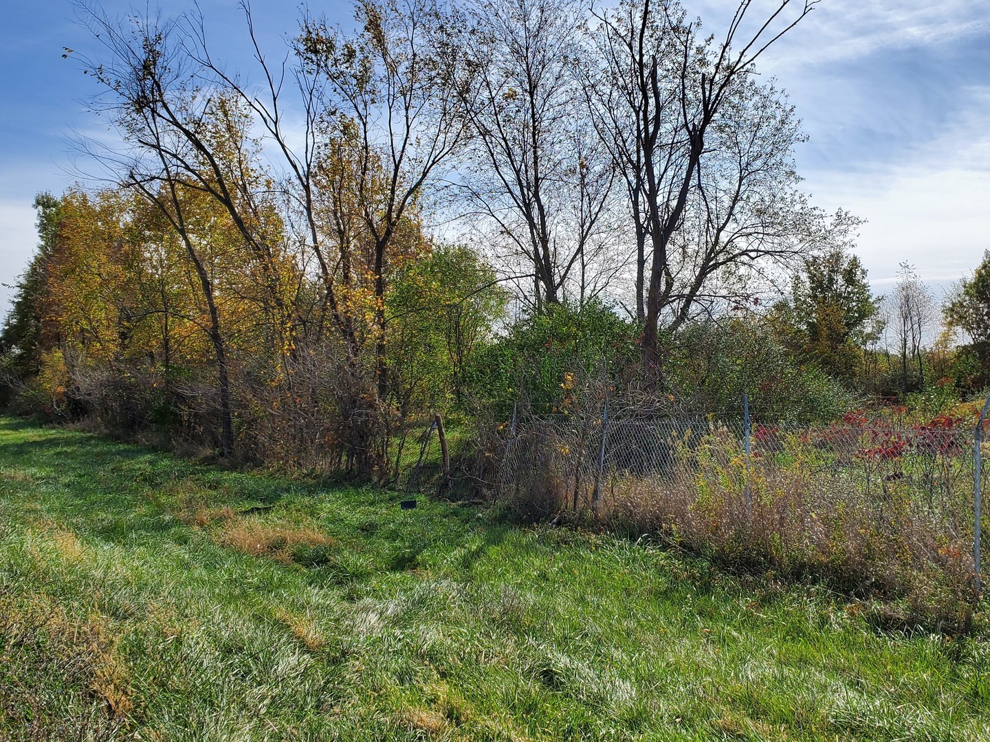 Tbd North 2803rd Road Ottawa, IL 61350 - Photo 5 of 5 a view of a yard