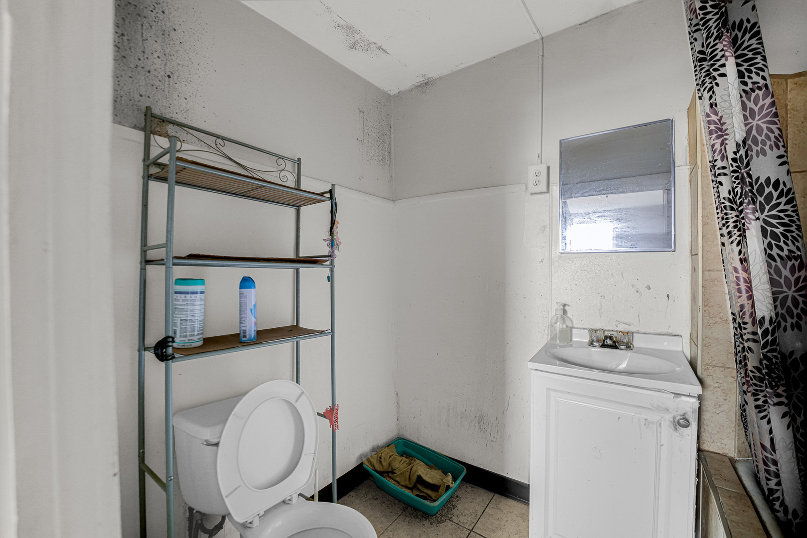 852 North Harding Avenue Chicago, IL 60651 - Photo 6 of 16