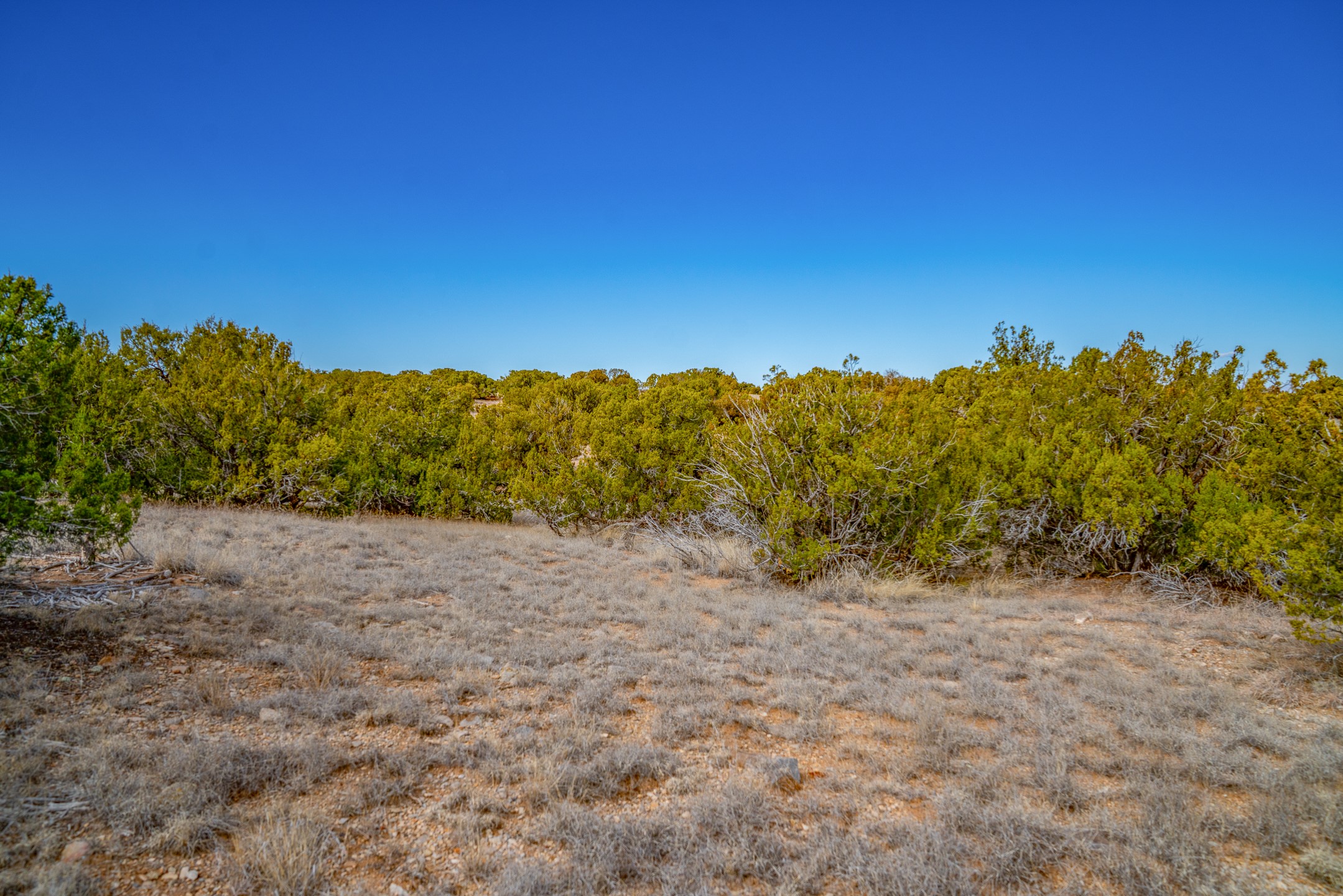 65 Grenfell Ranch Road Cerrillos, NM 87010 - Photo 15 of 46