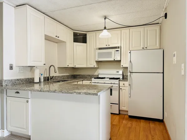 $1,700 | 5S070 Pebblewood Lane, Unit F11, Naperville, IL 60563