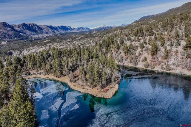 a living room with furniture a fireplace and floor to ceiling windows