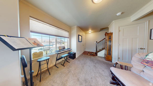 1674 Eastridge Road Price, UT 84501 - Photo 4 of 34 Windowed living space featuring carpet flooring, crisp white trim, and neutral wall tones