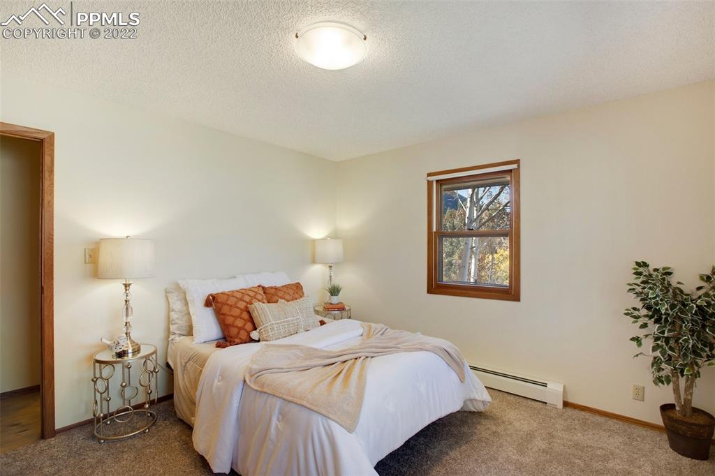 9610 Mohawk Trail Cascade, CO 80809 - Photo 15 of 38 a bedroom with a bed and a potted plant