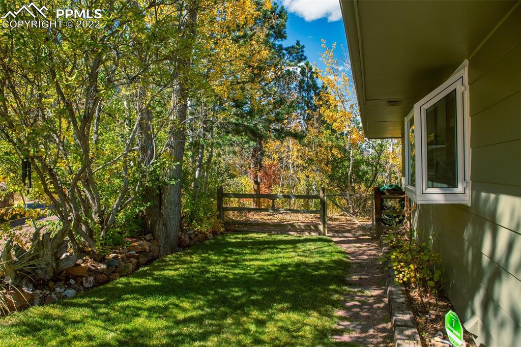 9610 Mohawk Trail Cascade, CO 80809 - Photo 4 of 38 a view of yard